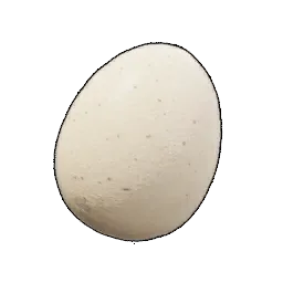Œuf