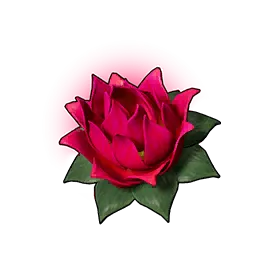Lotus de force (P)