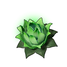 Lotus de vie (P)