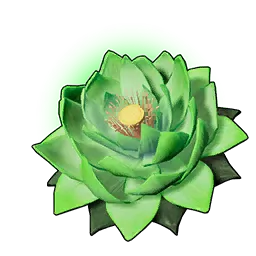Lotus de vie (G)