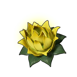 Lotus d’énergie (P)