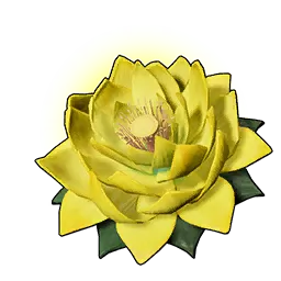 Lotus d’énergie (G)