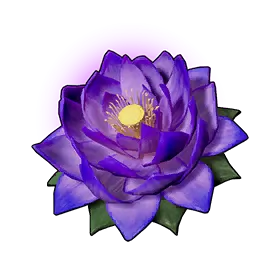Lotus de transport (G)