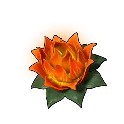 Lotus d’effort (P)