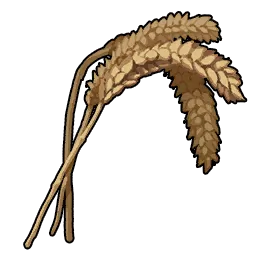 Blé