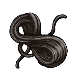 Fibre de carbone