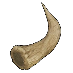 Corne