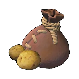 Semence de pomme de terre